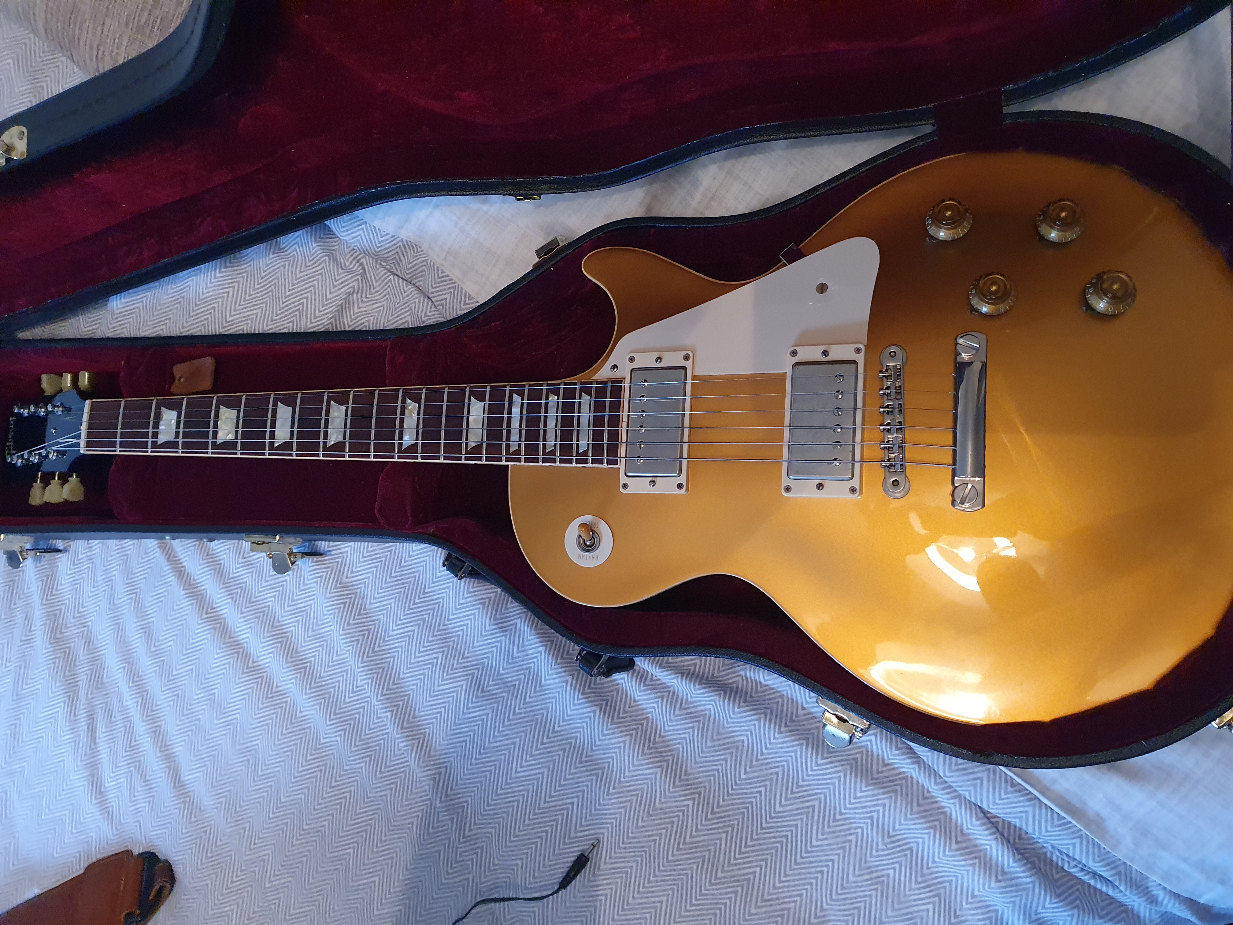 NEWEST ARRIVAL
